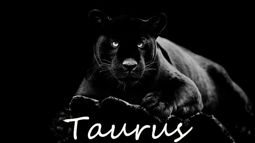 TAURUS Spirits Advice 1